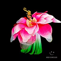Flower Dance