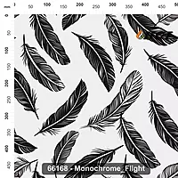 66168 Monochrome Flight