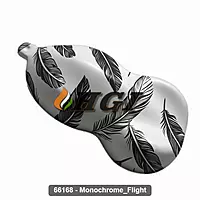 66168 Monochrome Flight