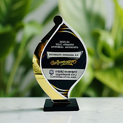 HAT-1033 20.50CM 18%