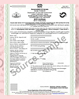 English to Foreign Language