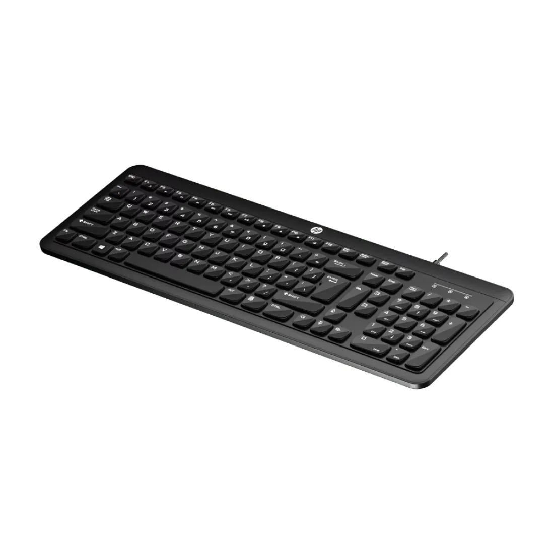 HP K160 Wired Keyboard