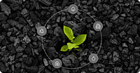 Biochar Carbon Credit Implementation Service