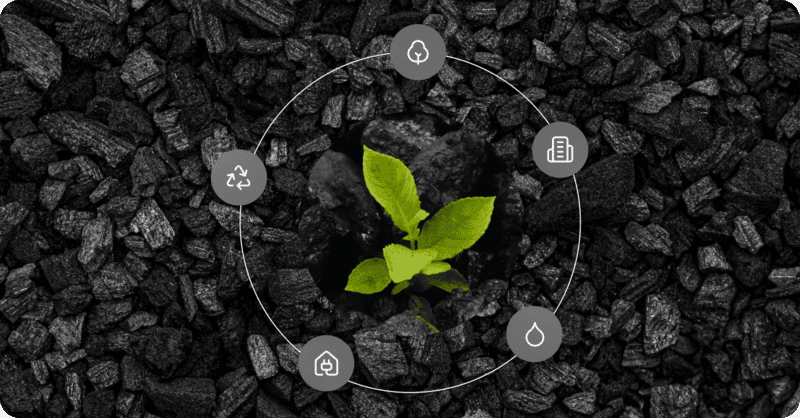 Biochar Carbon Credit Implementation Service