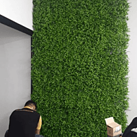 Emerald Valley Residency