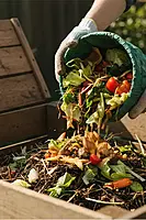 Decentralized Village Composting Model for FPOs