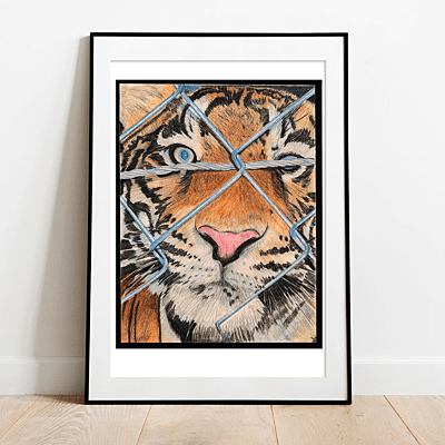 Art No. 68/2022 Art No. 68/2022