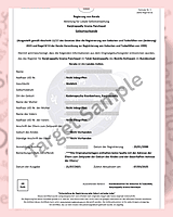 English to Foreign Language