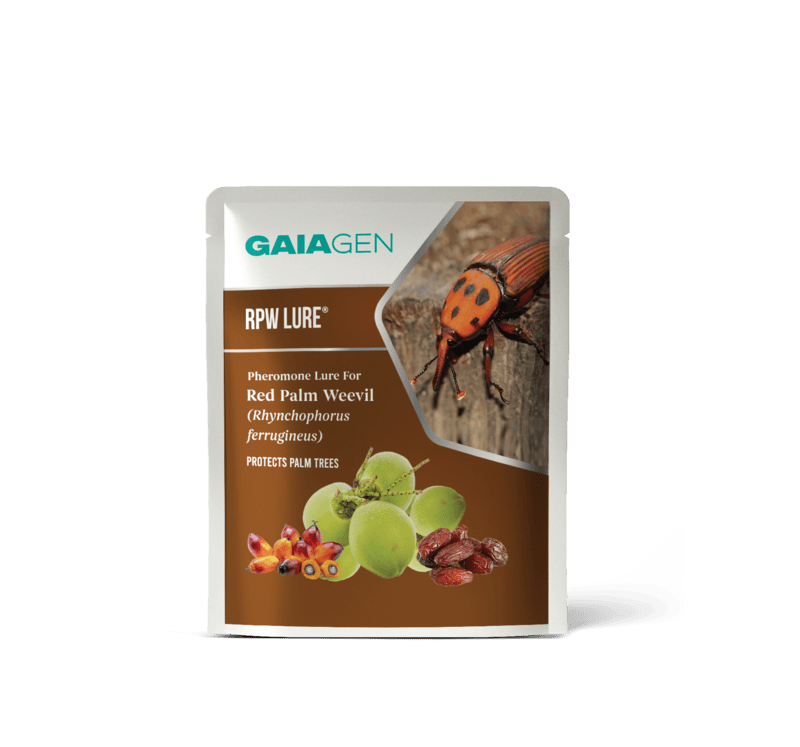 Gaiagen RPW Lure® - Red Palm Weevil (Rhynchophorus ferrugineus)