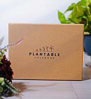 Sustainable Calendar 2026 ( PLANTABLE CALENDARS)