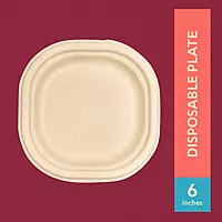CHUK 6" Disposable Plate