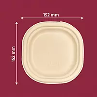 CHUK 6" Disposable Plate
