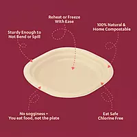 CHUK 6" Disposable Plate