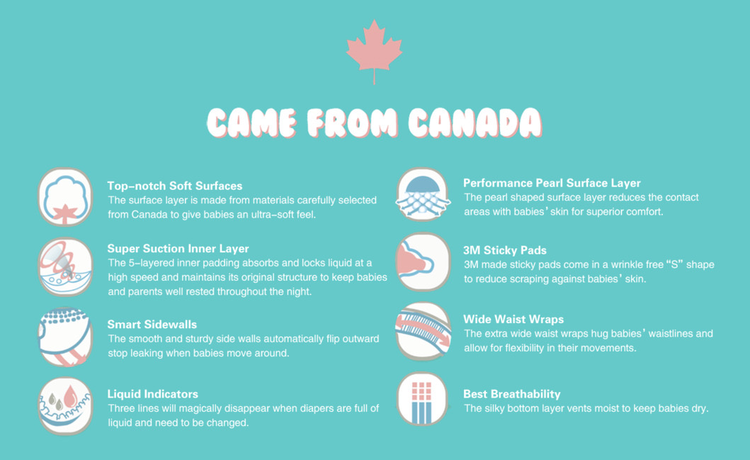 Cuteseal XL Pant - 12 to 17 Kg - 48pcs Cuteseal XL Pant - 12 to 17 Kg - 48pcs