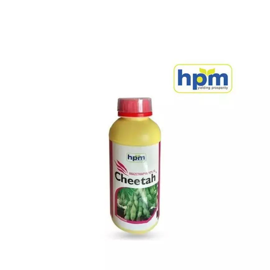 Cheetah -(HPM)