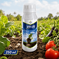 Velum Prime SC 400 Nematicide | Fungicide | Bayer Crop Science | Vetrivel Agro Services