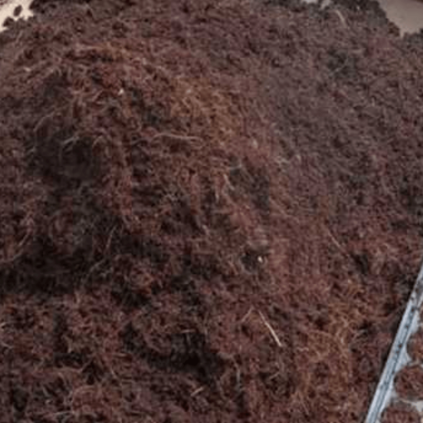 25 kg Cocopeat Composted and sterile best suitable for seed germination