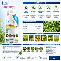 IPL Bactvipe Bio Fungicide (Pseudomonas fluorescens 2.0% AS) | Vetrivel Agro Services