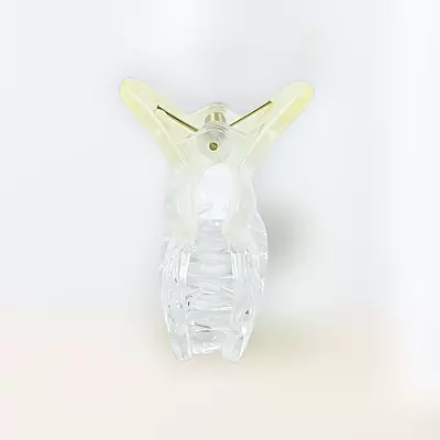 Chic Starfish Clear & Buttermilk Yellow Hair Claw Clip - Medium Size