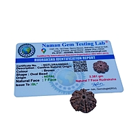 7 Mukhi Rudraksha Nepali