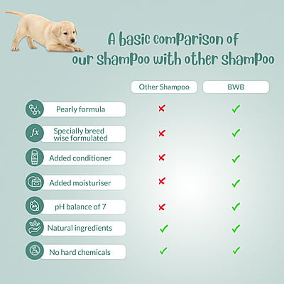 BWB LABRADOR SHAMPOO