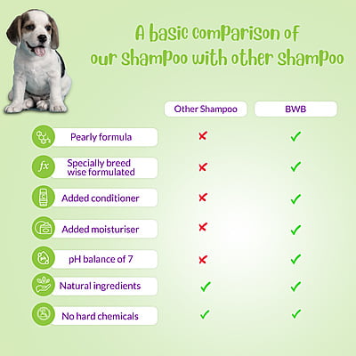 BWB BEAGLE SHAMPOO