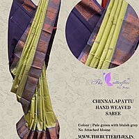 CHINNALAPATTU HAND WEAVED SAREE 4