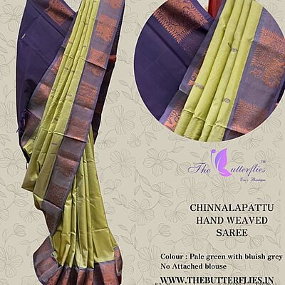 CHINNALAPATTU HAND WEAVED SAREE 4