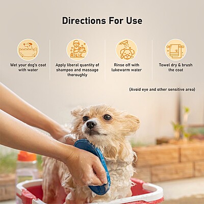 Neem Aloevera Shampoo 300 ML