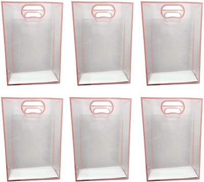 Pack of 6 – Transparent Goodie Bags Clear Gift Bags Medium Brown Bags for Return Gift and More