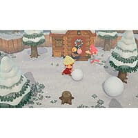 Nintendo Animal Crossing: New Horizons |Switch| Pre Owned|