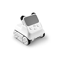 Codey Rocky Codey Rocky