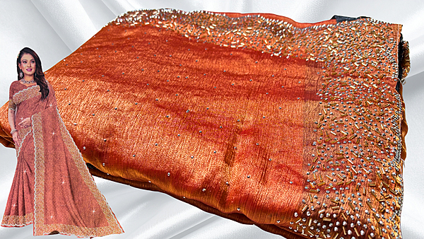 Choco Chits Galaxy Space Stone Work Saree - Golden Peach