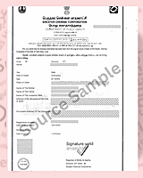 English to Foreign Language