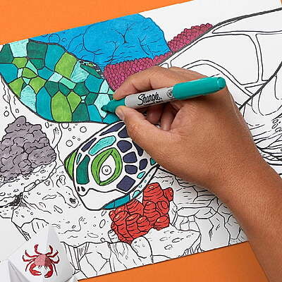 Sharpie Permanent Marker Fine Point Set Sharpie Permanent Marker Fine Point Set