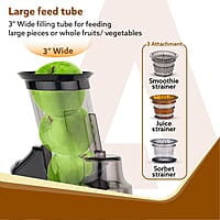 AGARO Royal Slow Juicer, Professional Cold Press Whole Slow Juicer, 240 Watts Power Motor, 120 Minutes Long Usage, 3 Strainers, All-in-1 Fruit & Vegetable Juicer, Black