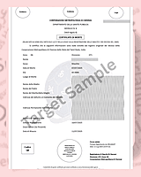 English to Foreign Language