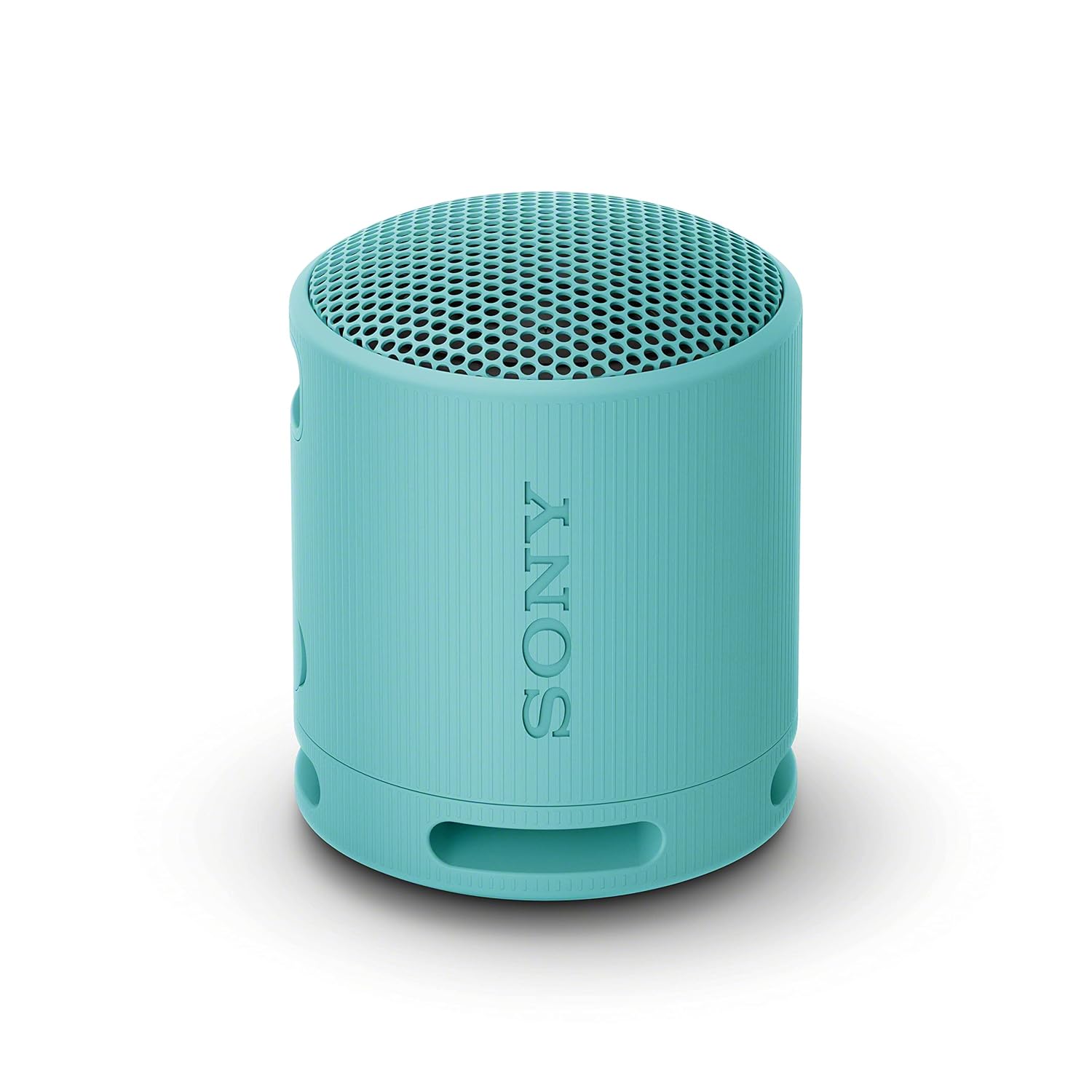 Sony SRS-XB100 Wireless Bluetooth Portable Speaker