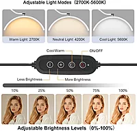 moon light white