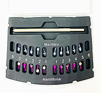 Infinity Self Ligating Brackets With Free Tool