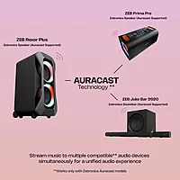 Zebronics Roxor Plus Trolley DJ Speaker