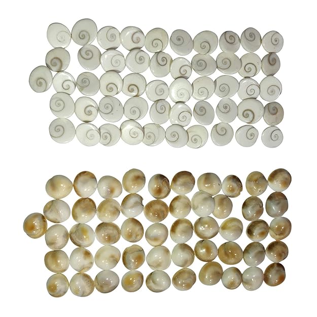 Gomati Chakra For Pooja and Vastu 108
