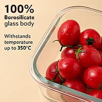 AGARO Elite Borosilicate Glass Lunch Box, 3pcs Set, 320ml Each, Office Tiffin Box with Bag Square