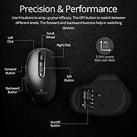 Coconut WM28 Prism Wireless Mouse (Ergonomic, 6 Buttons, RGB Lighting, Adjustable DPI, Plug & Play, Sleek Design, 1 Year Warranty)