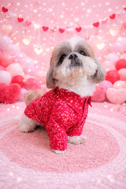 Red Heart Valentine Shirt