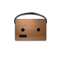 Philips TAS2228/94 20W Portable Speaker