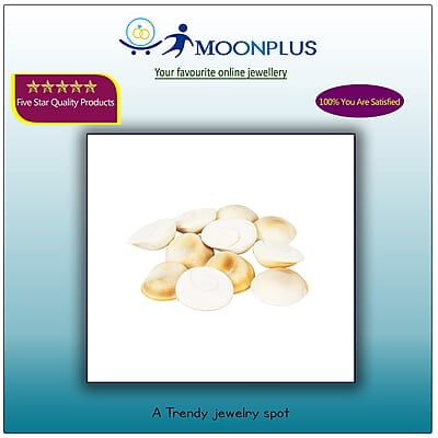 Gomti Chakra 21 Pcs Gomti Chakra 21 Pcs