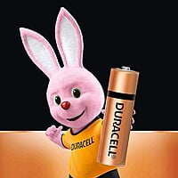 Duracell Alkaline batteries
