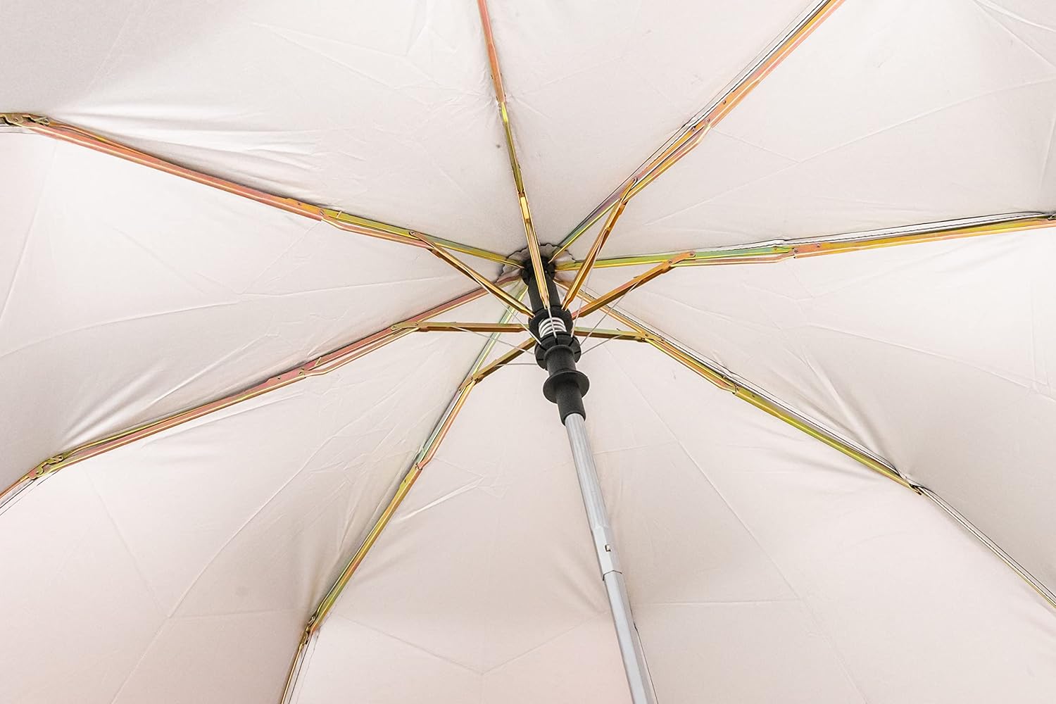 Umbrella