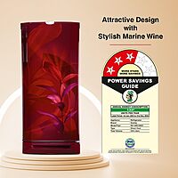 Godrej 234 L 3 Star 24 Advanced Capillary Technology Direct Cool Single Door Door Refrigerator